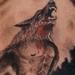 tattoo galleries/ - Werewolf - 64096