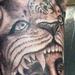tattoo galleries/ - Indian chief  - 64107