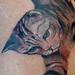 tattoo galleries/ - Cat scratching name