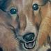 tattoo galleries/ - Dog portrait tattoo