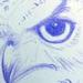 Tattoos - Owl skull - 64824