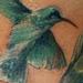 tattoo galleries/ - Hummingbird closeup
