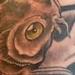 tattoo galleries/ - Koi