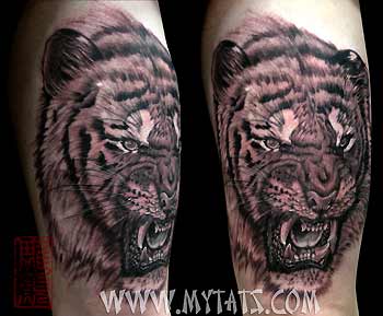 Tattoos - Black and Grey Tiger - 29293