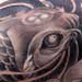 tattoo galleries/ - Koi around Lotus