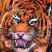 tattoo galleries/ - Tiger and Skulls