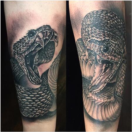 Tattoos - Realistic Snakes in Black and Gray - 127455