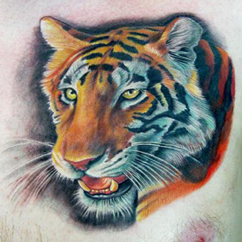 Tattoos - Photorealistic Tiger - 22357