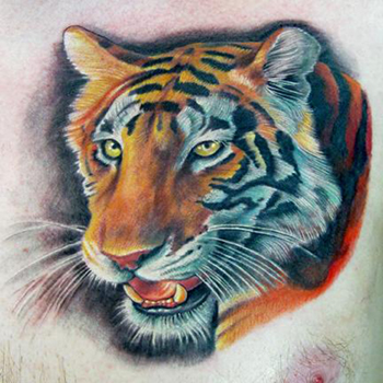 Nate Beavers - Photorealistic Tiger