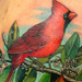 Tattoos - Cardinals! - 22333