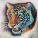 tattoo galleries/ - Photorealistic Tiger