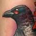 Tattoos - Crow leaves - 75254