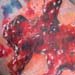 Tattoos - Puzzle piece - 16145