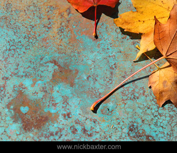 Nick Baxter - Love