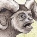 tattoo galleries/ - Creatures
