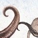 tattoo galleries/ - Creatures