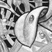 tattoo galleries/ - Spring