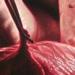 Tattoos - Penance - 66794