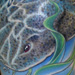 Tattoos - Angel Shark and Starfish - 6845