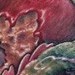 Tattoos - Venus Flytrap - 53098