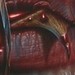 Tattoos - Chew The Thorn - 43854