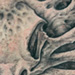 tattoo galleries/ - Raven Skull Bonescape