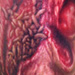 Tattoos - Rotten Flesh - 16706