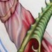 tattoo galleries/ - Hand