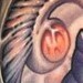 Tattoos - Evolution - 53235