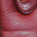 Tattoos - Grasping - 28017