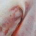 Tattoos - Almighty - 57687