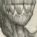 tattoo galleries/ - Healing/Gutter