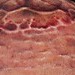 tattoo galleries/ - Jack I