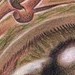 tattoo galleries/ - Eye - 46593