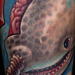 tattoo galleries/ - Transience - 29881