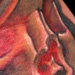 Tattoos - Life From Death - 35435