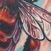 Tattoos - Bee and Honeycomb - 66784
