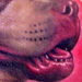 Tattoos - Ruby RIP - 16701
