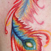 Tattoos - Phoenix Feather - 72863