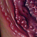 Tattoos - Very Forbidden Fruit - 31305