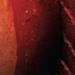 Tattoos - Surfacing XIV - 20889