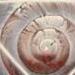 tattoo galleries/ - The Quintessence - 57147