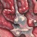 Tattoos - Flange - 53097