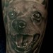 Dog Portrait tattoo Tattoo Thumbnail