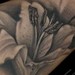 Lily Tattoo Tattoo Thumbnail