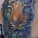 Tattoos - Tiger Tattoo - 50987