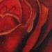 tattoo galleries/ - Meditation Rose