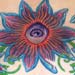tattoo galleries/ - All Seeing Flowers - 11780