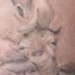 tattoo galleries/ - Giraffe and calf - 36814