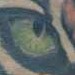 tattoo galleries/ - tiger on the prowl